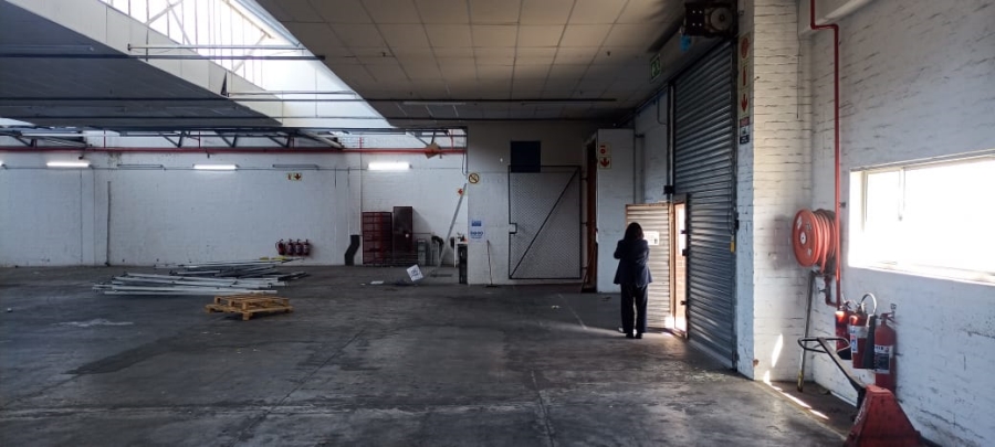 To Let commercial Property for Rent in Diep River Western Cape